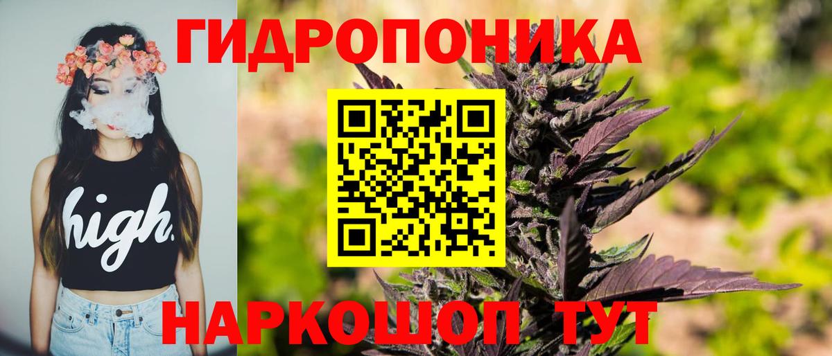 Моздок  Конопля сатива  МАРИХУАНА SATIVA & INDICA  Вход с VPN 